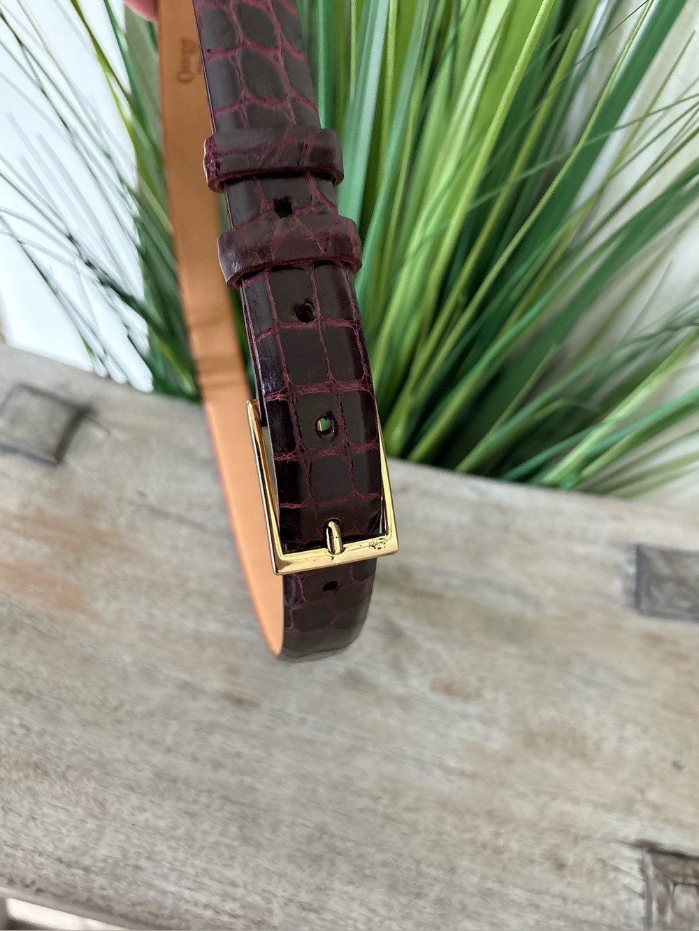 Crescent Wild Alligator Leather Belt with Gold Buckle - Picture 3 of 9